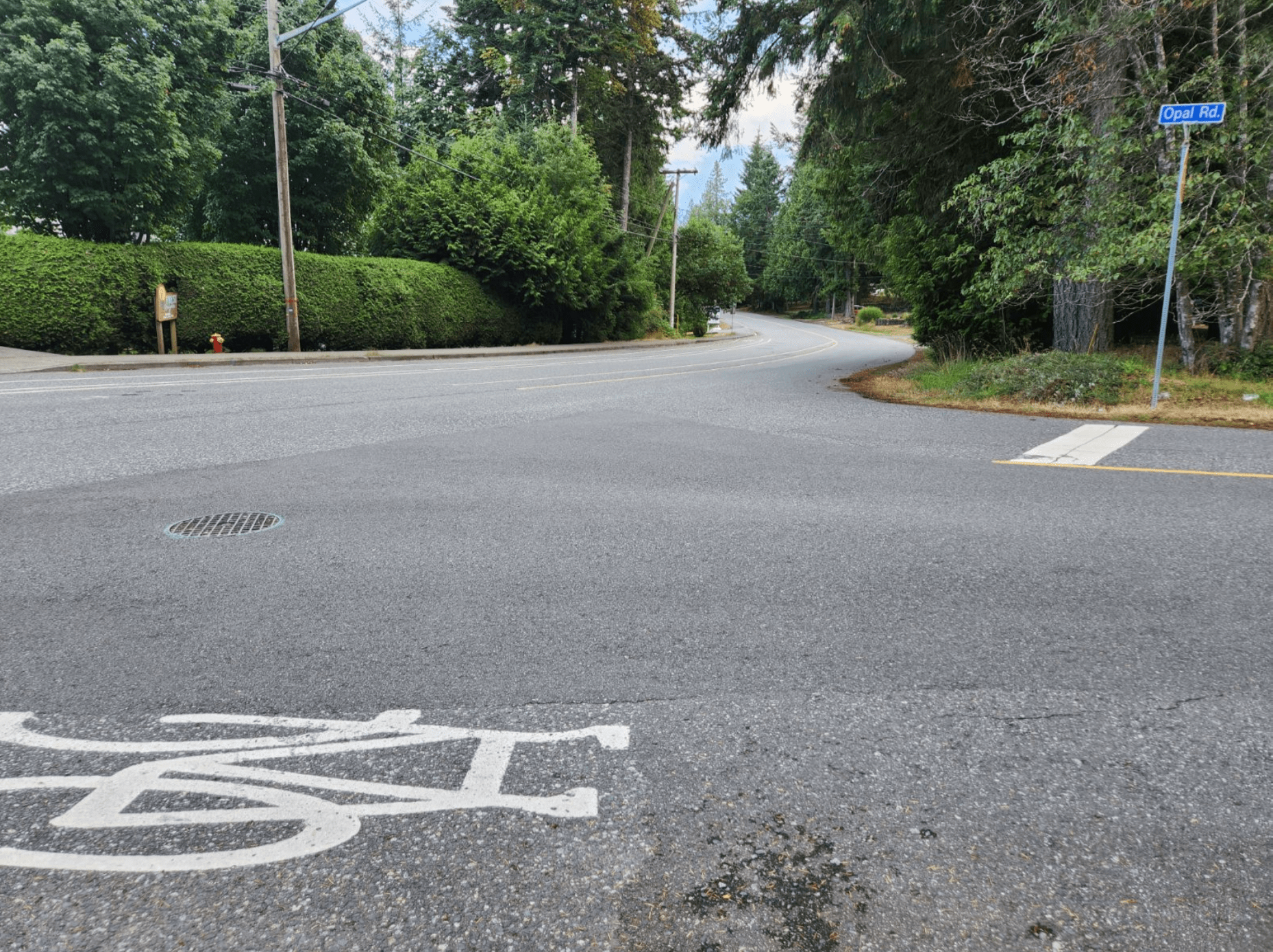 The Opal Road traffic diverter was removed in 2022 after community backlash. (Nanaimo News Bulletin)