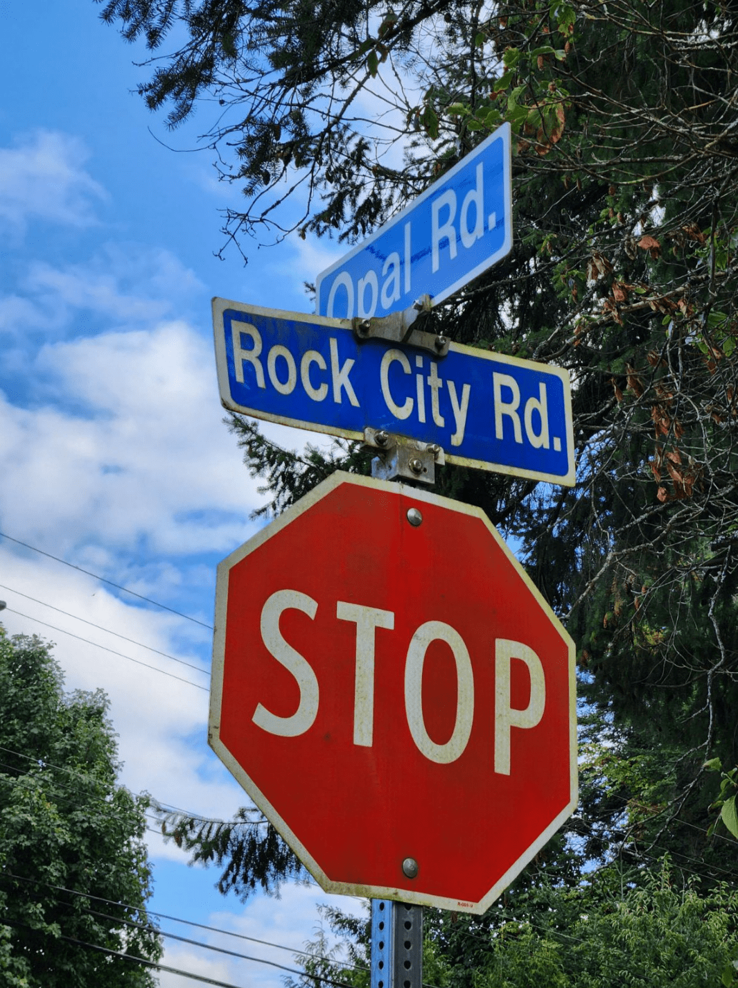 Patchwork Infrastructure Is Not Enough: Opal Road And Country Club Centre